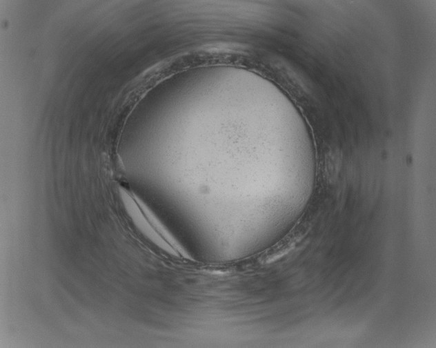 X0000081400821200702020318