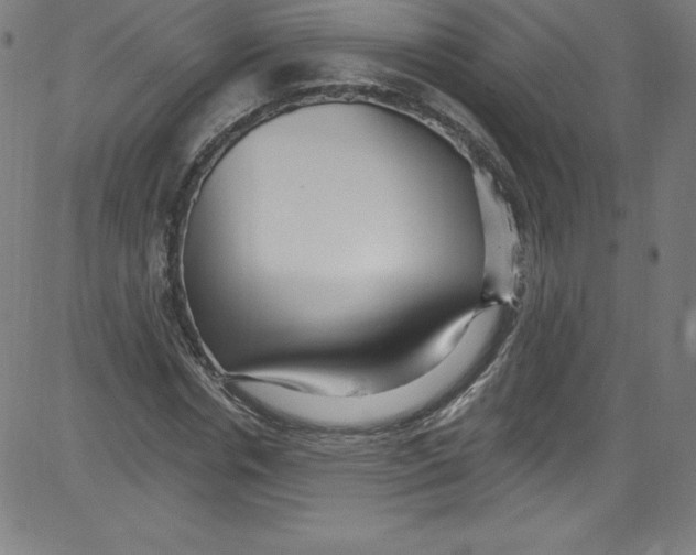 X0000081400826200702020318