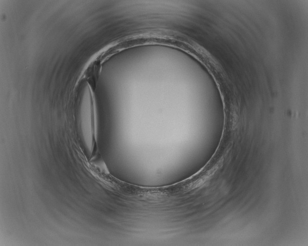 X0000081400830200702020318