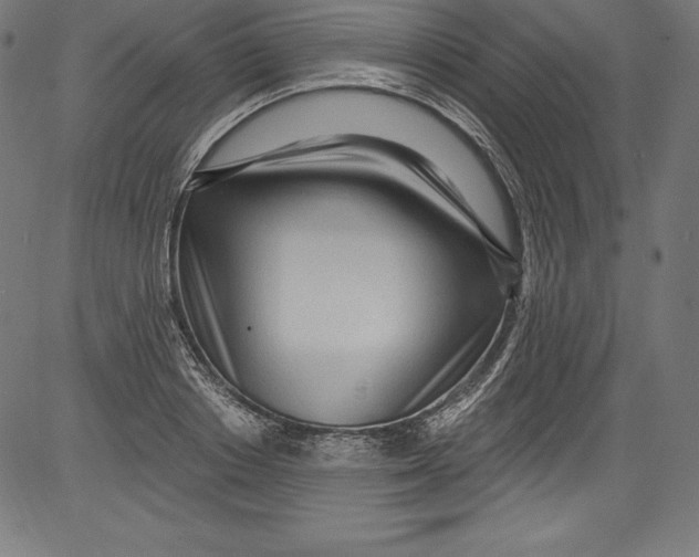 X0000081400842200702020318