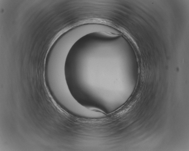 X0000081400845200702020318