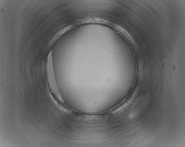 X0000081400849200702020318