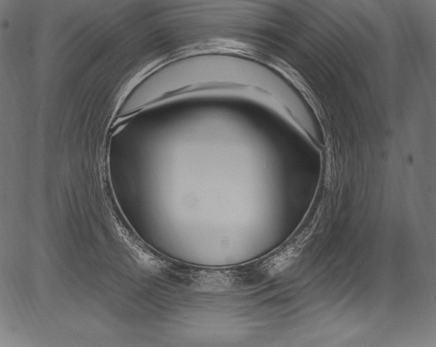 X0000081400850200702020318