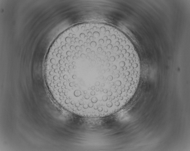 X0000081400856200702020319