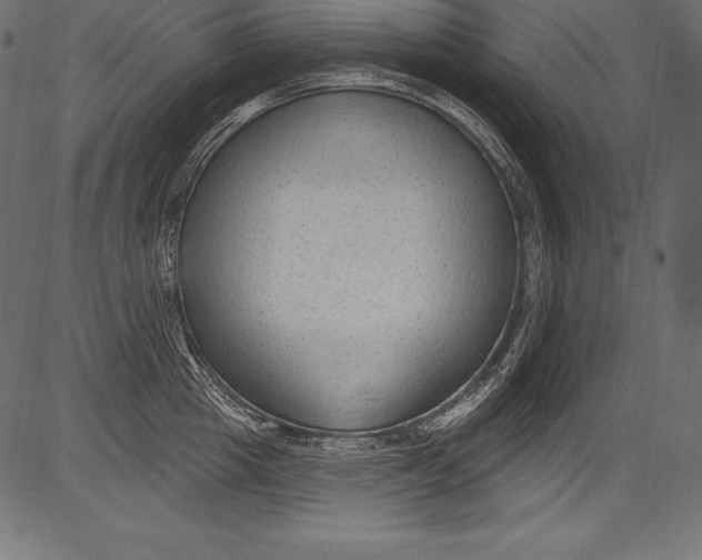 X0000081400857200702020319