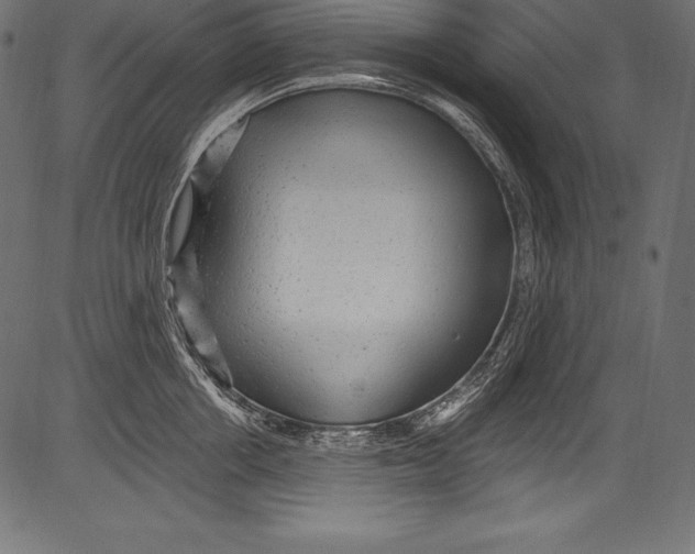 X0000081400858200702020319