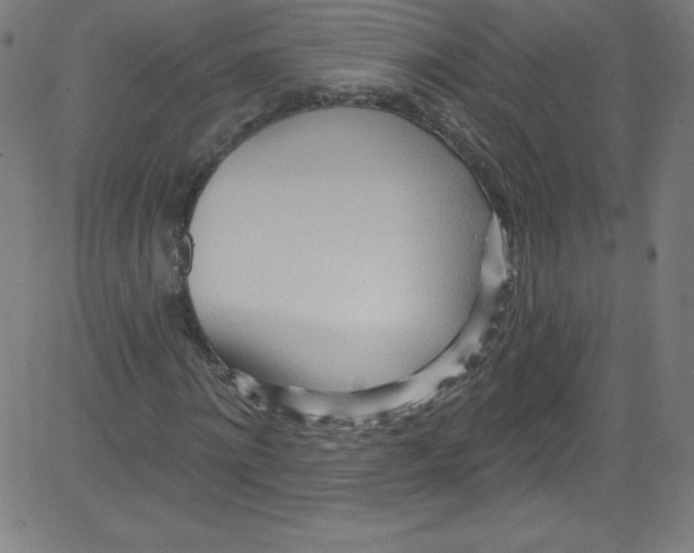 X0000081400868200702020318