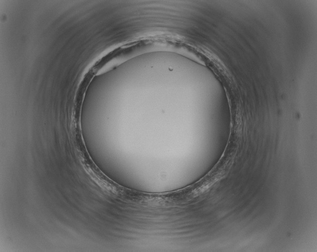 X0000081400880200702020318
