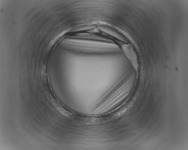 X0000081400881200702020318