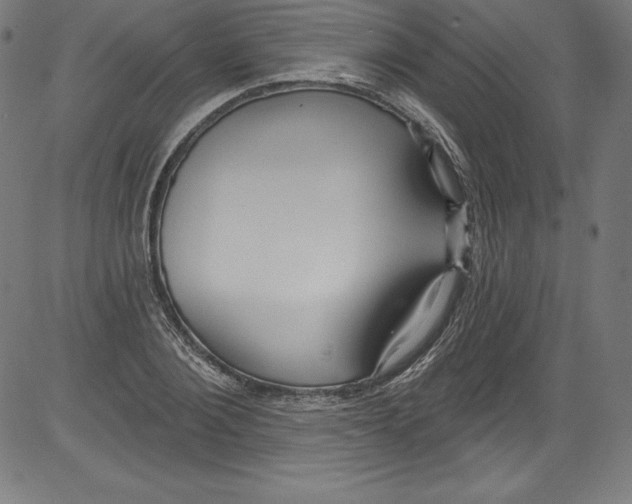 X0000081400884200702020318