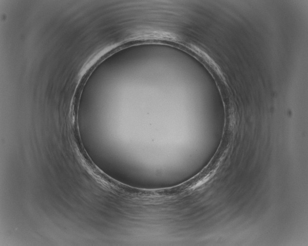 X0000081400885200702020318