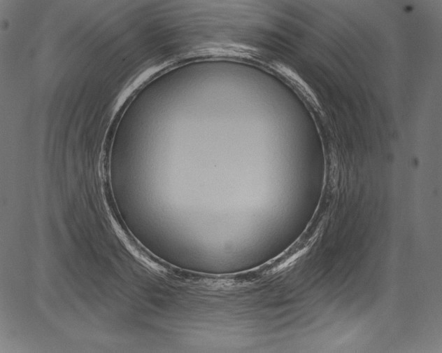 X0000081400893200702020317