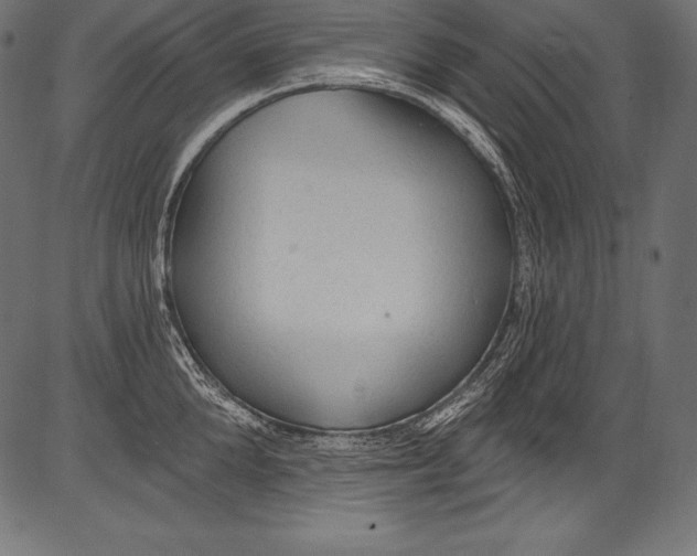X0000081400904200702020317