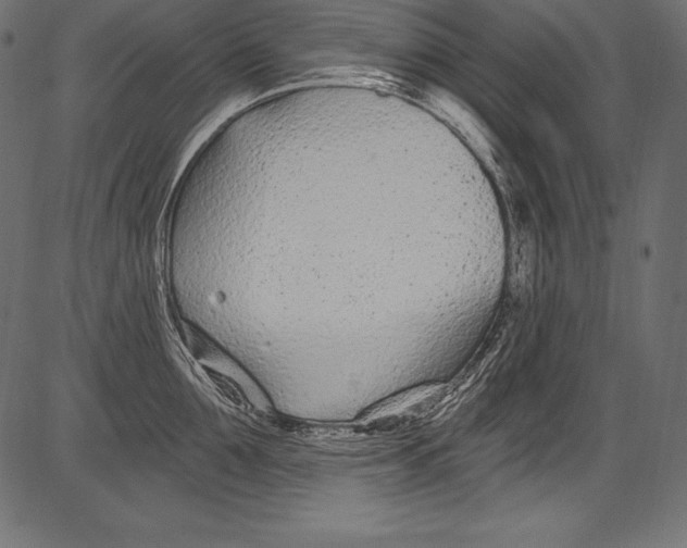 X0000081400907200702020317