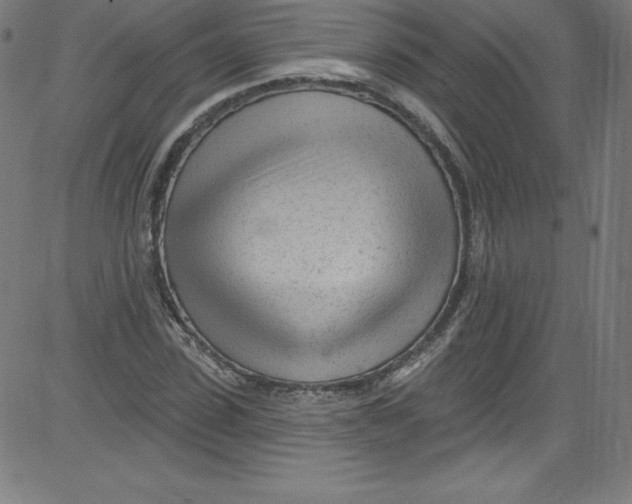 X0000081400923200702020316