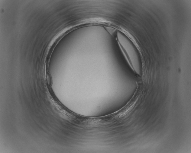 X0000081400939200702020317