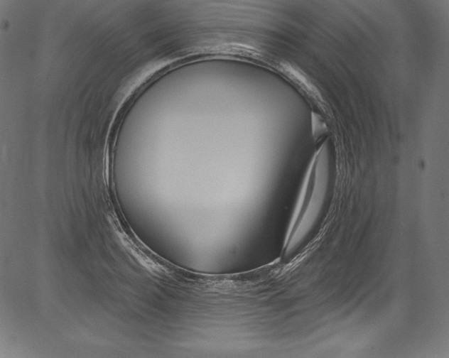 X0000081400940200702020317