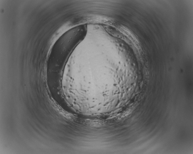 X0000081400948200702020317