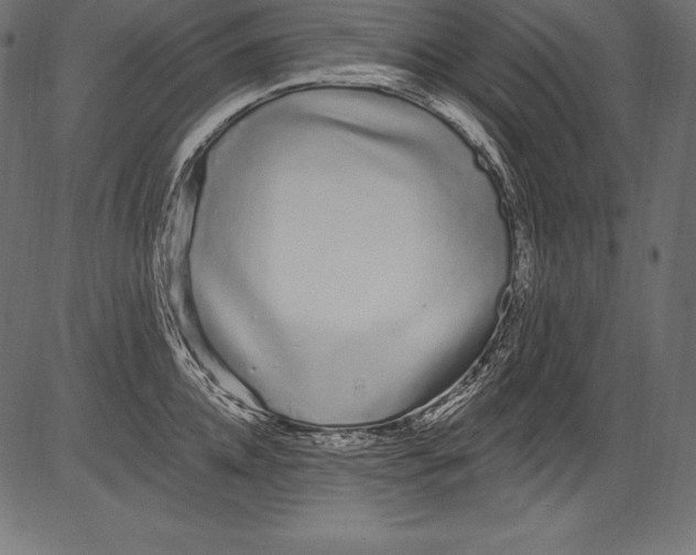 X0000081400952200702020317
