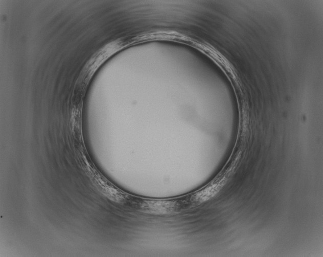 X0000081400953200702020317