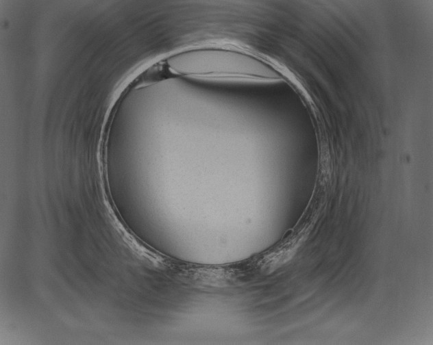 X0000081400959200702020317