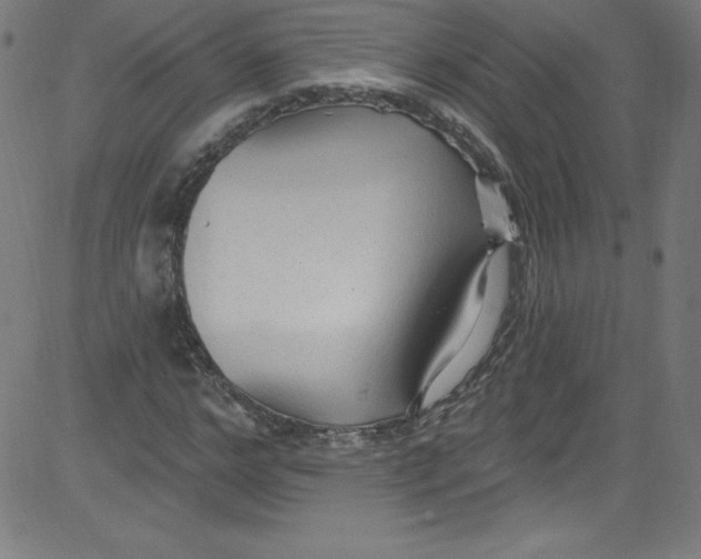 X0000081400968200702020316