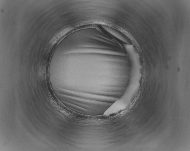 X0000081400977200702020316