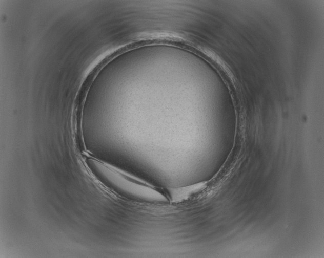 X0000081400983200702020316