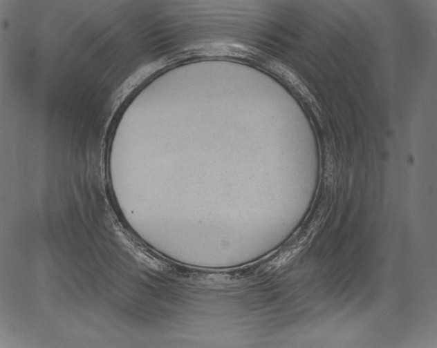 X0000081400986200702020316
