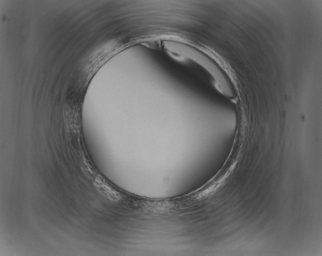 X0000081401001200702020316