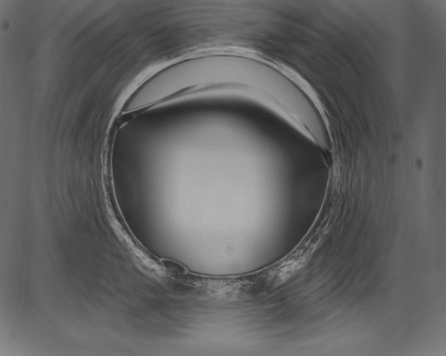 X0000081401005200702020316