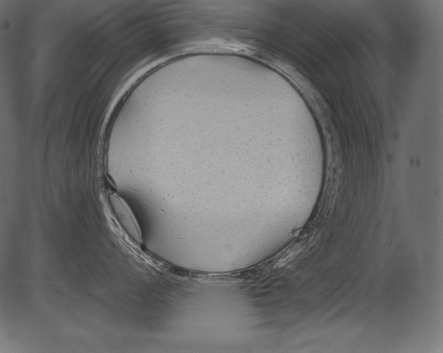 X0000081401008200702020316