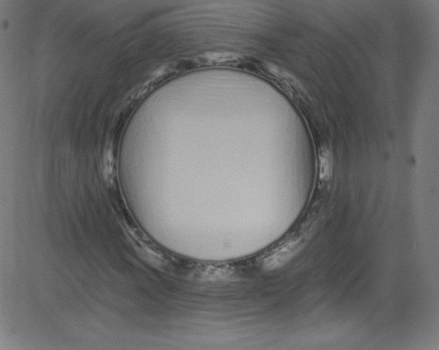 X0000081401011200702020315