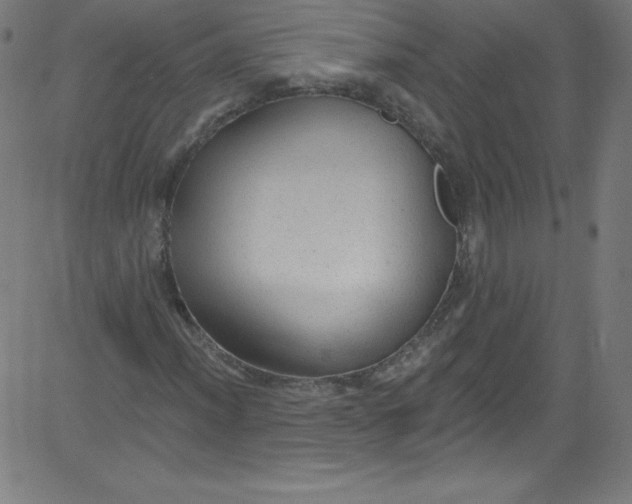 X0000081401012200702020315