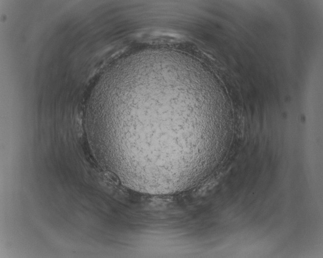 X0000081401013200702020315