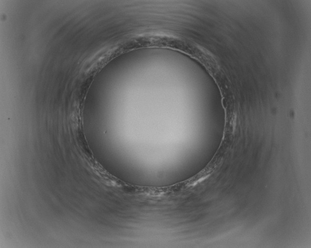 X0000081401014200702020315