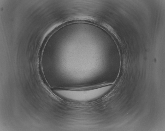 X0000081401024200702020315