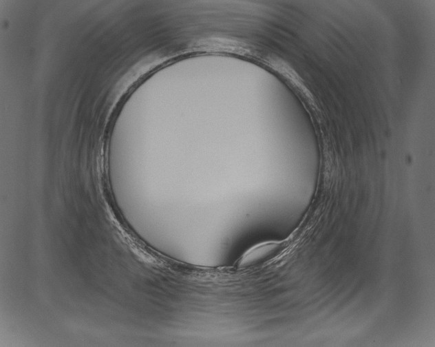 X0000081401040200702020315