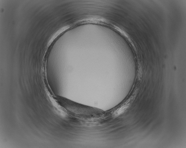X0000081401042200702020315