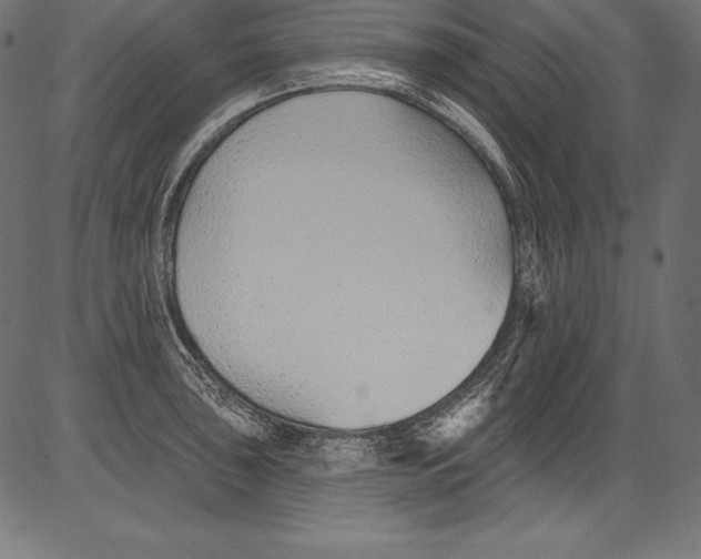 X0000081401043200702020315