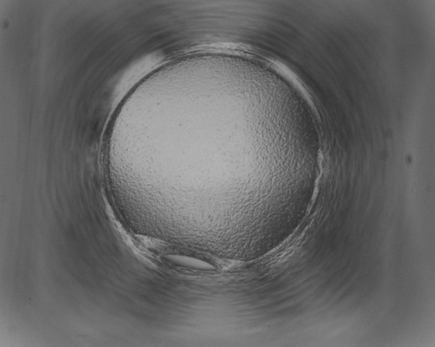 X0000081401050200702020315