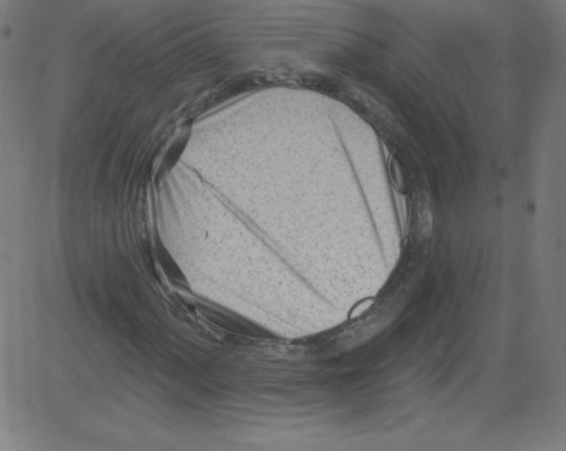 X0000081401060200702020315