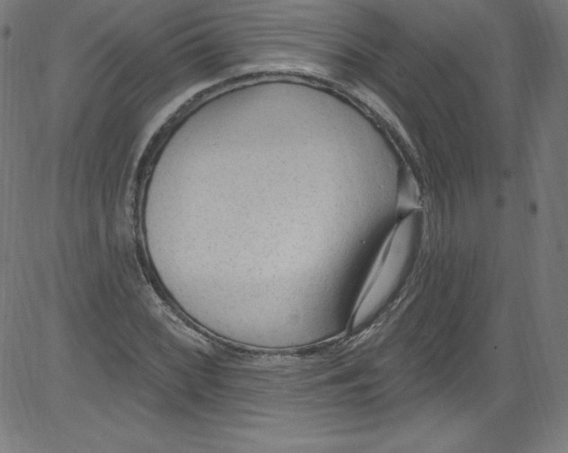 X0000081401068200702020315