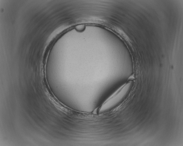 X0000081401072200702020314