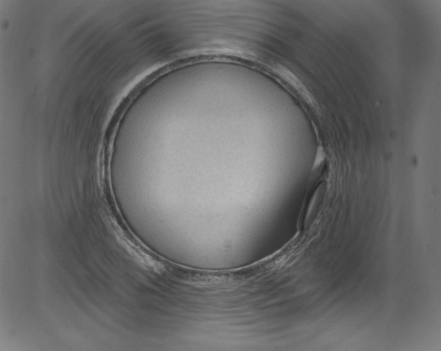 X0000081401076200702020314
