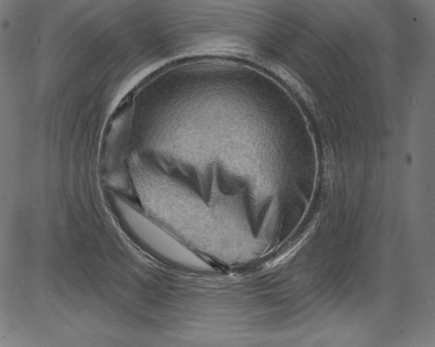 X0000081401077200702020314