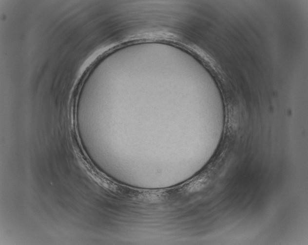 X0000081401078200702020314