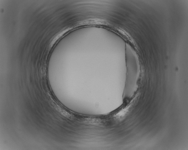 X0000081401081200702020314