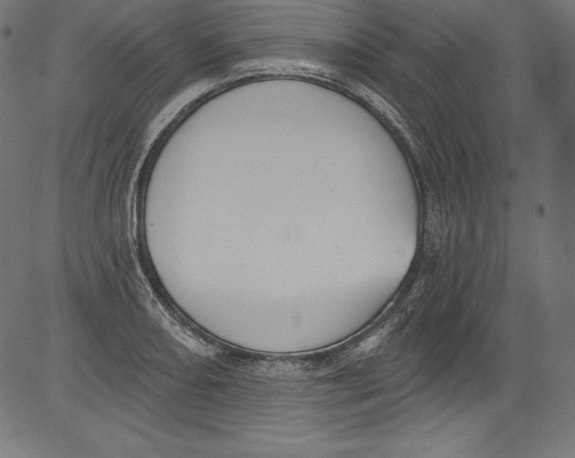 X0000081401082200702020314