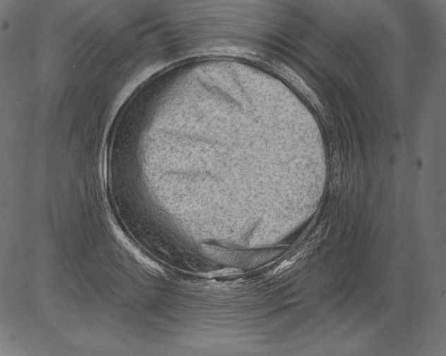 X0000081401084200702020314